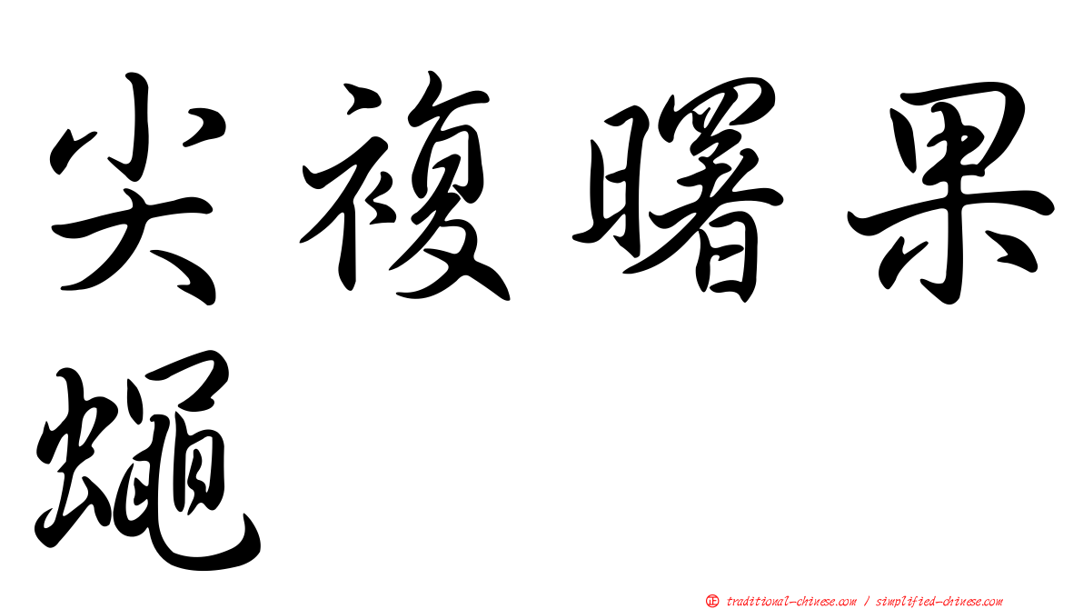 尖複曙果蠅