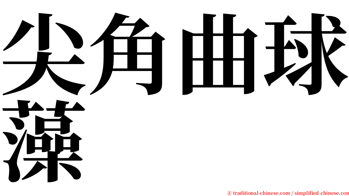 尖角曲球藻 serif font