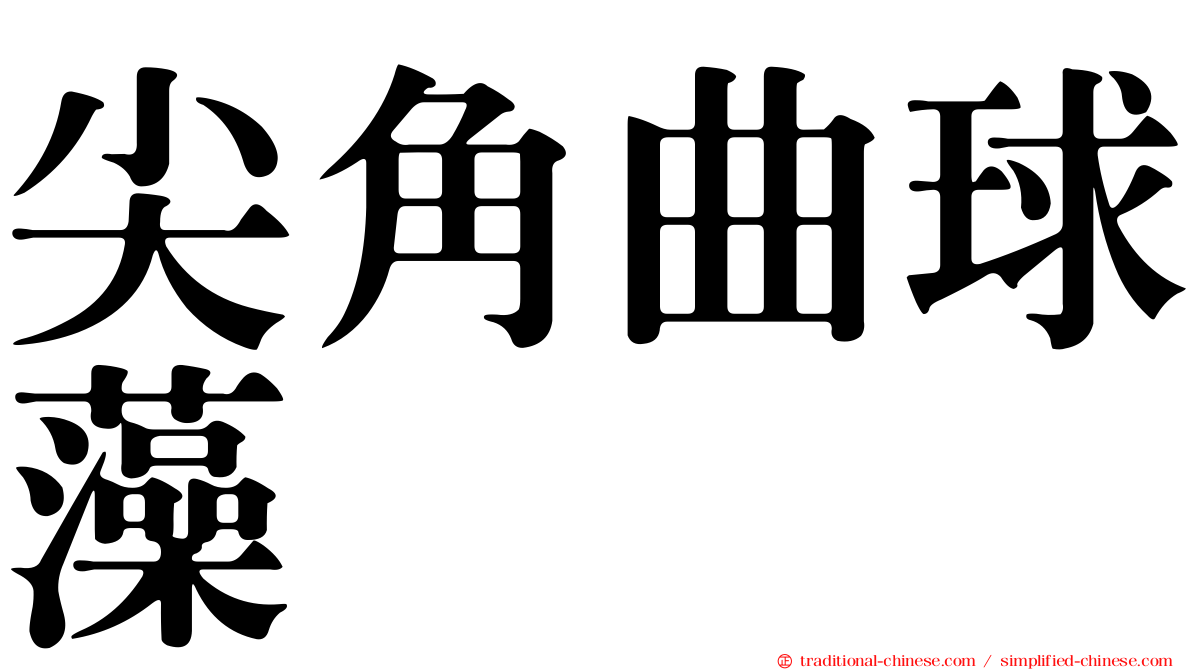 尖角曲球藻