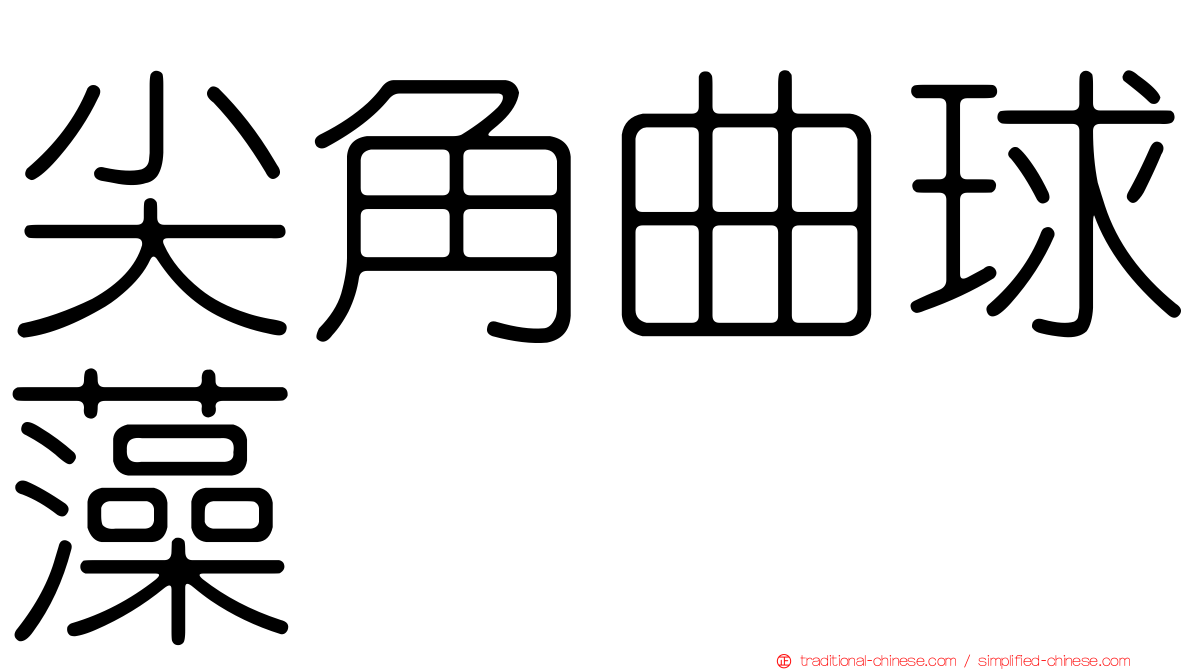 尖角曲球藻