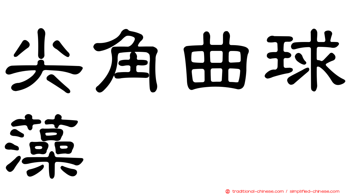 尖角曲球藻