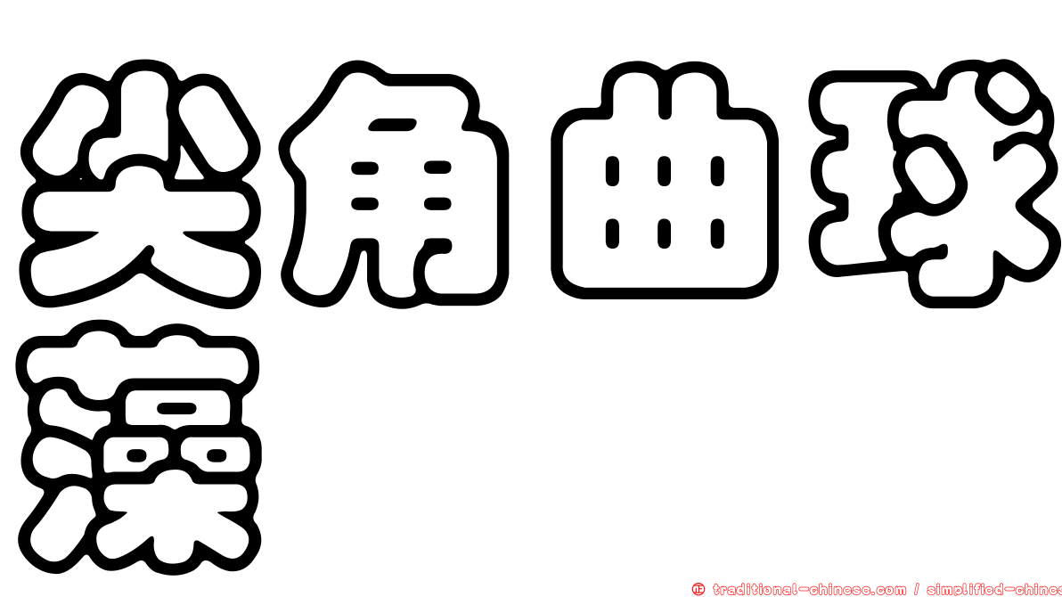 尖角曲球藻