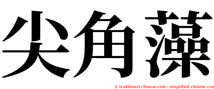 尖角藻 serif font