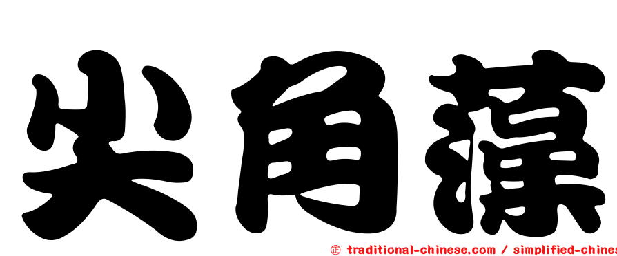 尖角藻