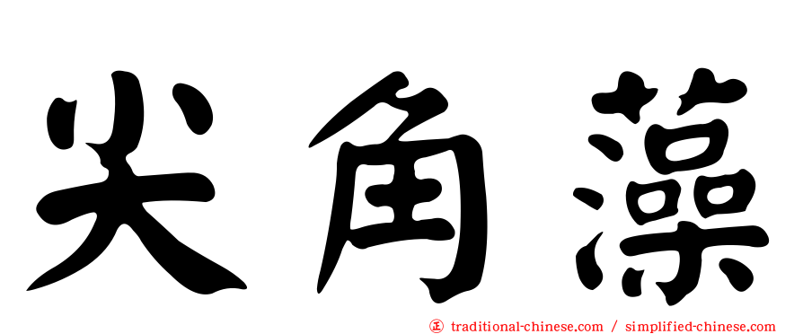 尖角藻