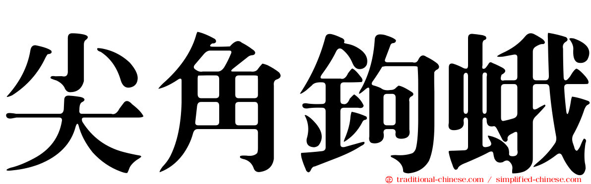 尖角鉤蛾