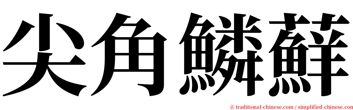尖角鱗蘚 serif font