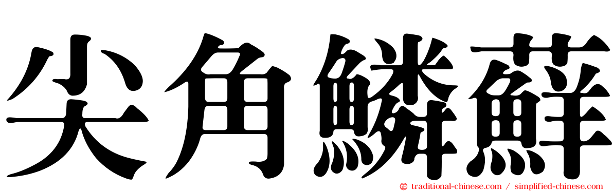 尖角鱗蘚