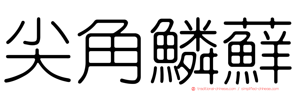 尖角鱗蘚