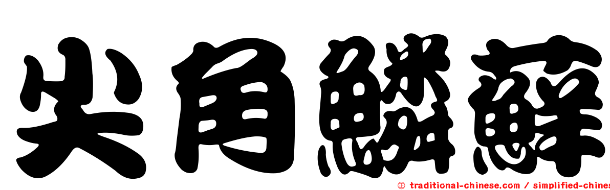 尖角鱗蘚