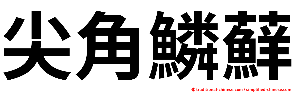 尖角鱗蘚