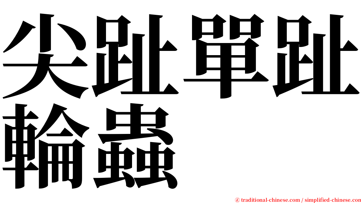 尖趾單趾輪蟲 serif font