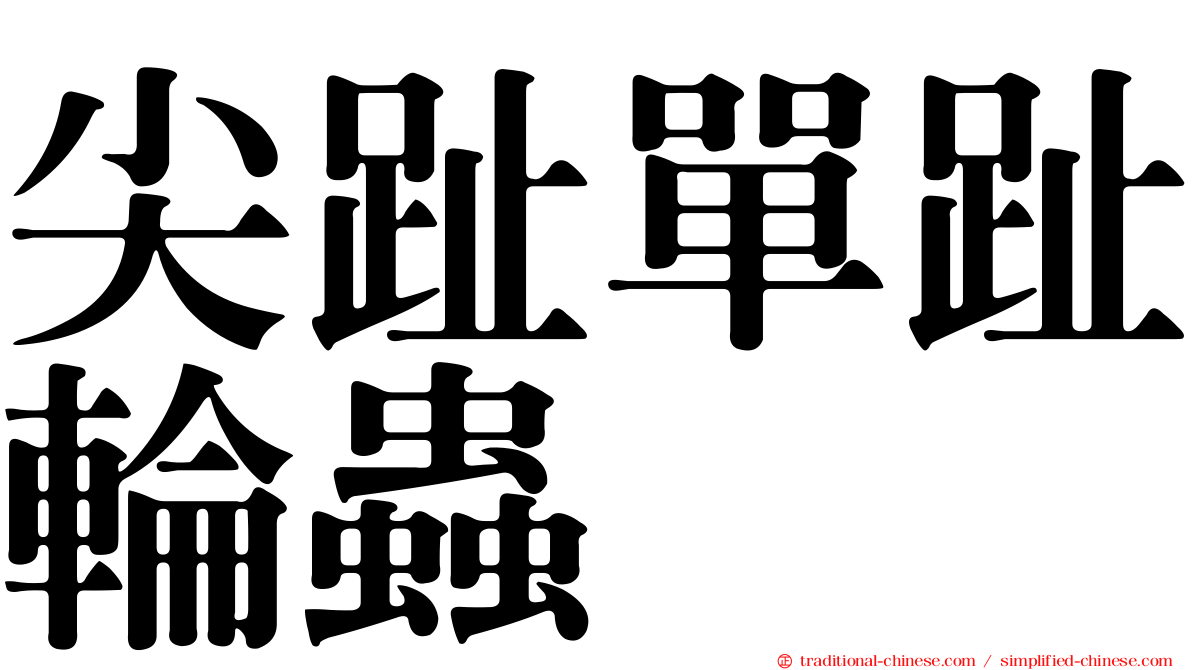 尖趾單趾輪蟲