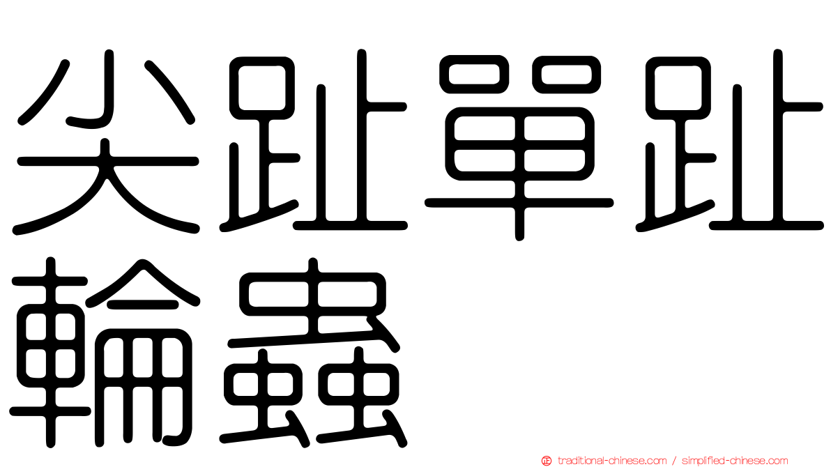 尖趾單趾輪蟲