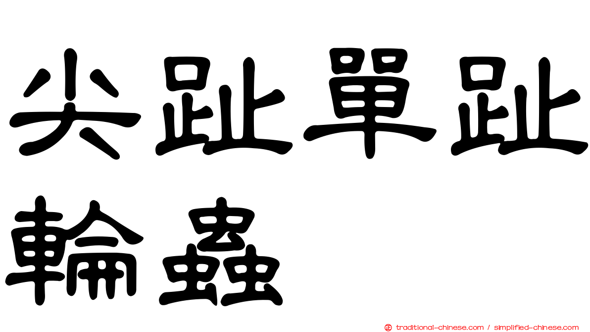 尖趾單趾輪蟲