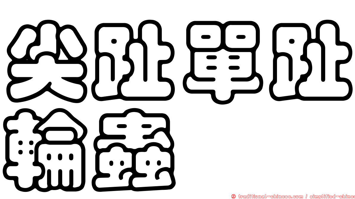 尖趾單趾輪蟲