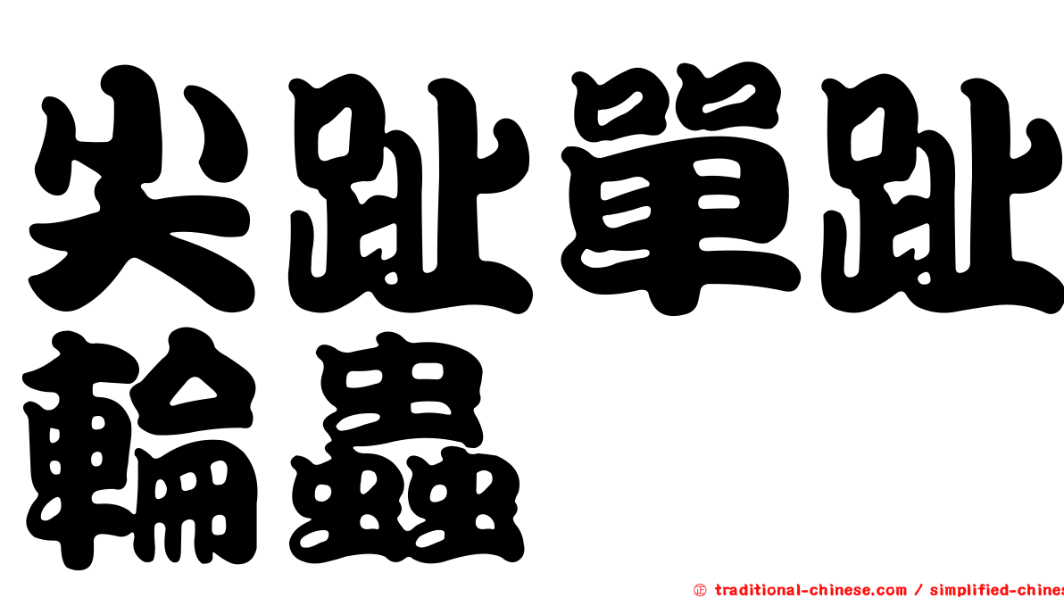 尖趾單趾輪蟲