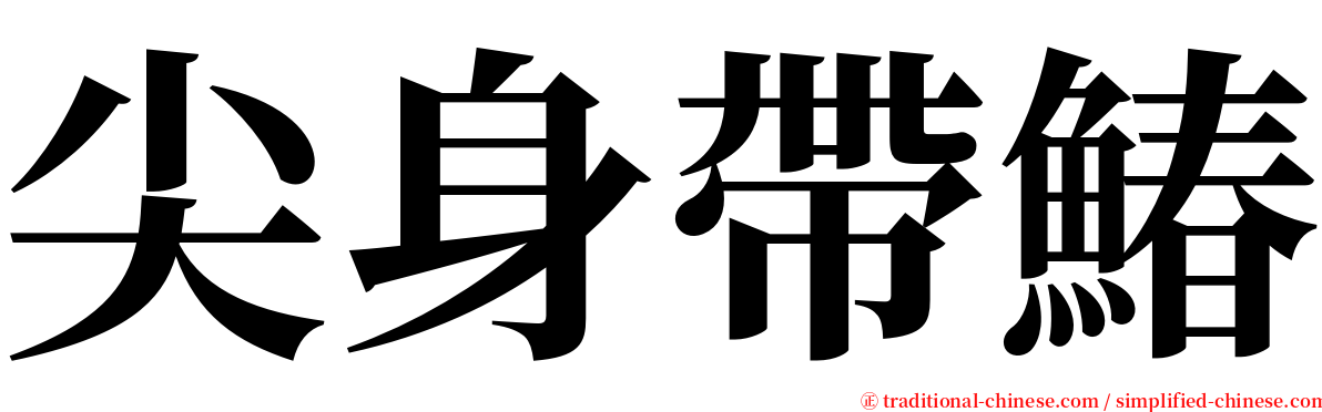 尖身帶鰆 serif font