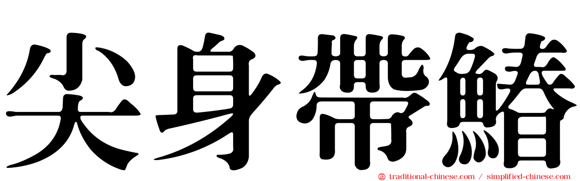 尖身帶鰆