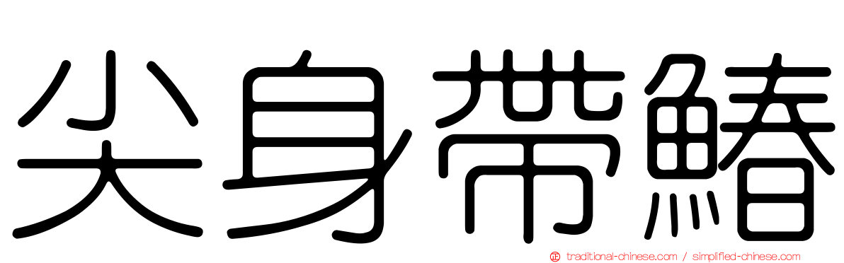 尖身帶鰆