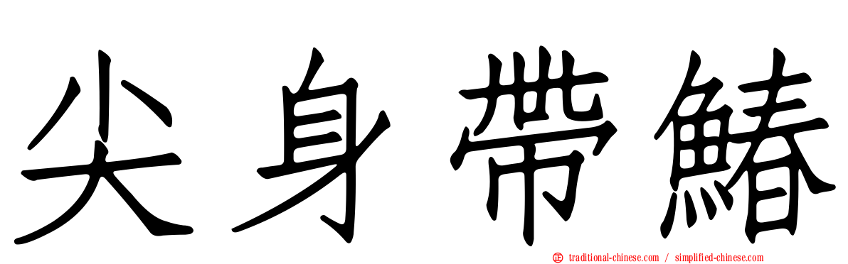 尖身帶鰆