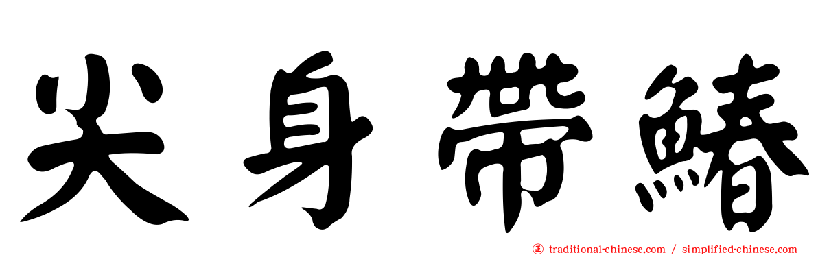 尖身帶鰆