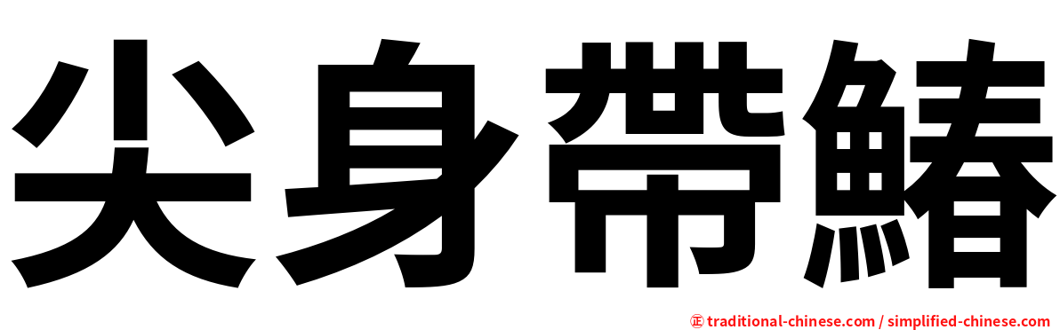 尖身帶鰆
