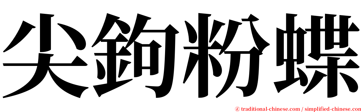 尖鉤粉蝶 serif font