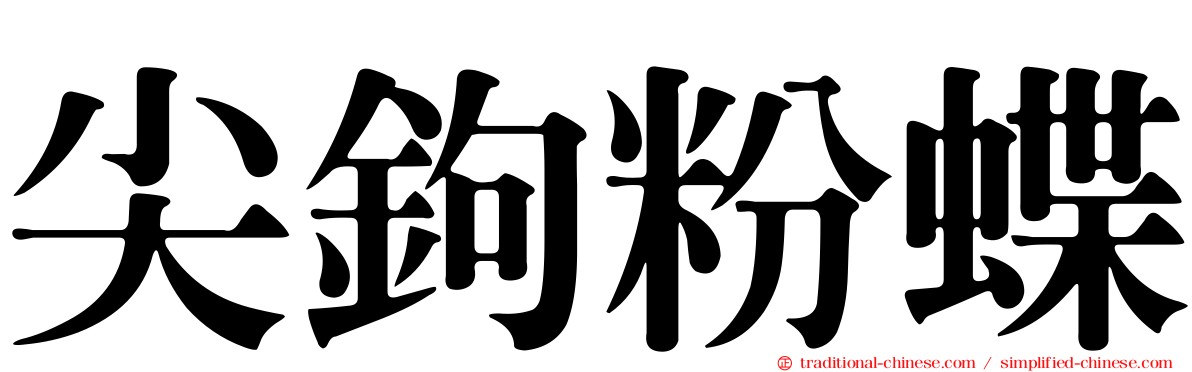 尖鉤粉蝶