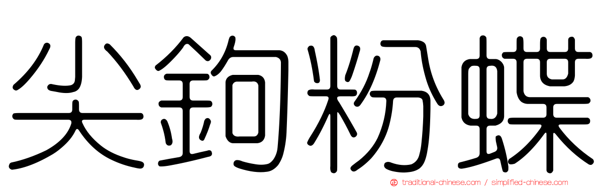 尖鉤粉蝶