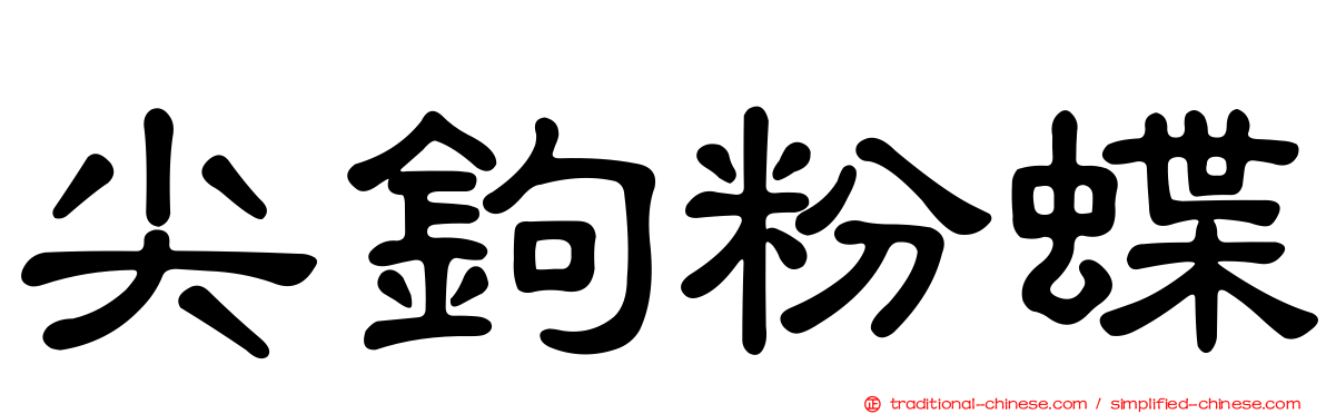 尖鉤粉蝶