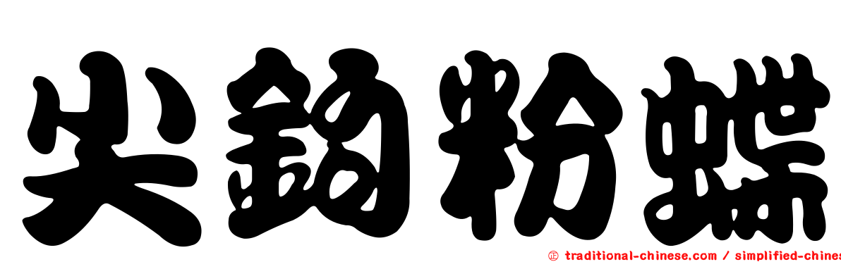 尖鉤粉蝶