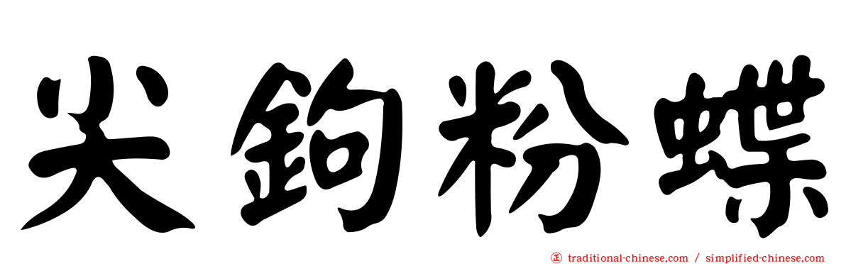 尖鉤粉蝶