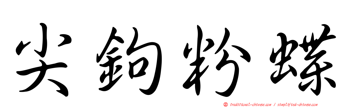 尖鉤粉蝶