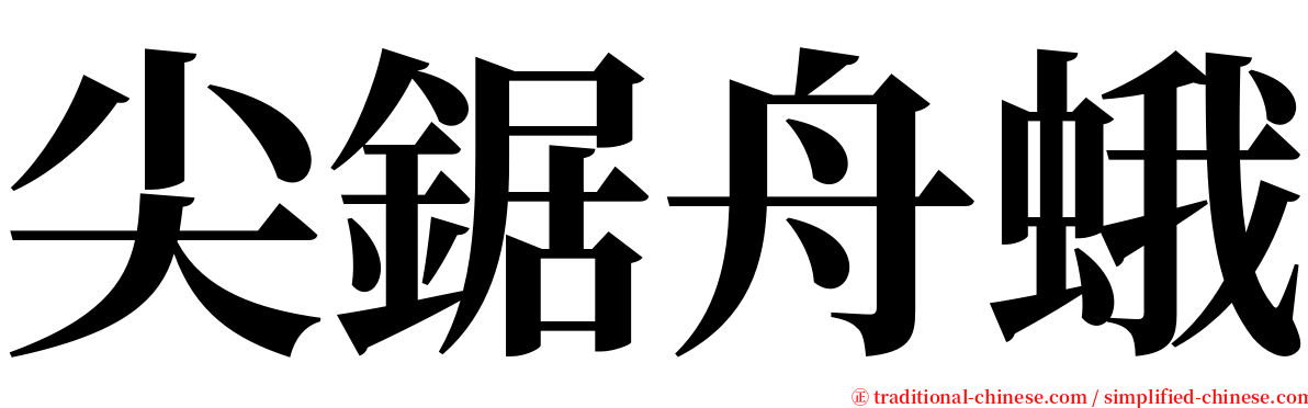 尖鋸舟蛾 serif font