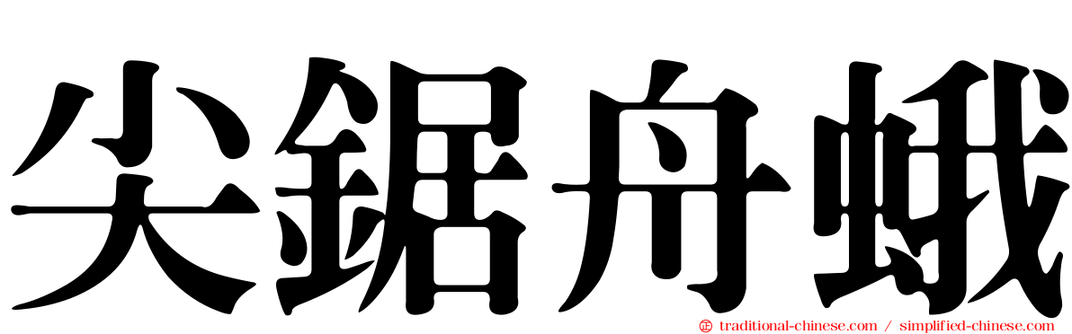 尖鋸舟蛾