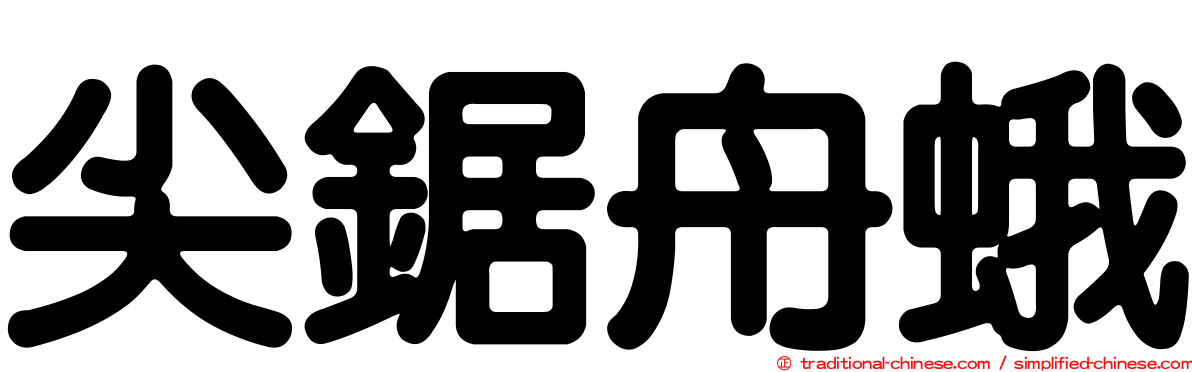 尖鋸舟蛾