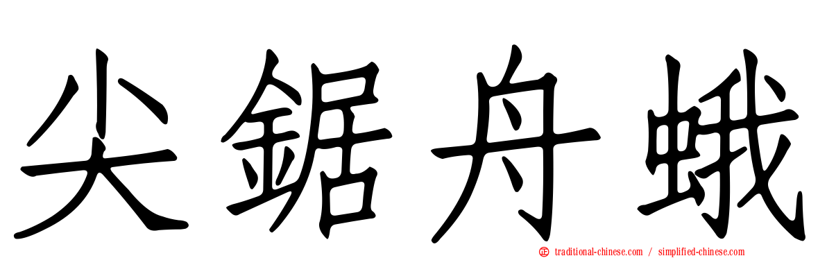尖鋸舟蛾