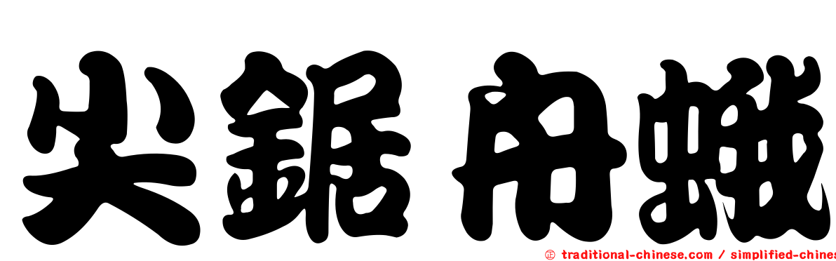 尖鋸舟蛾