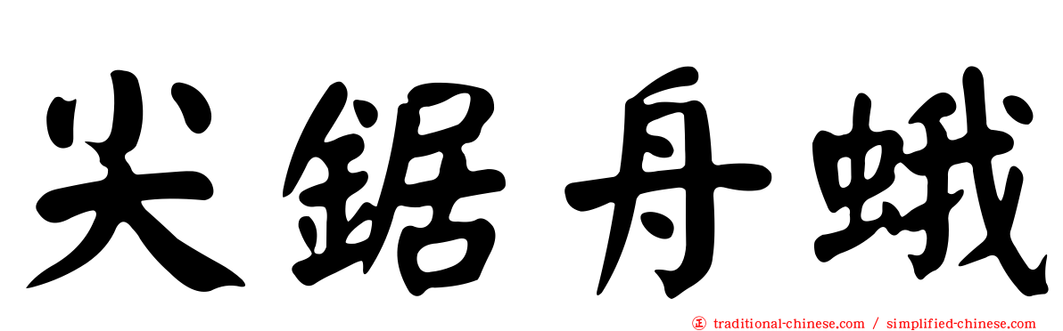 尖鋸舟蛾