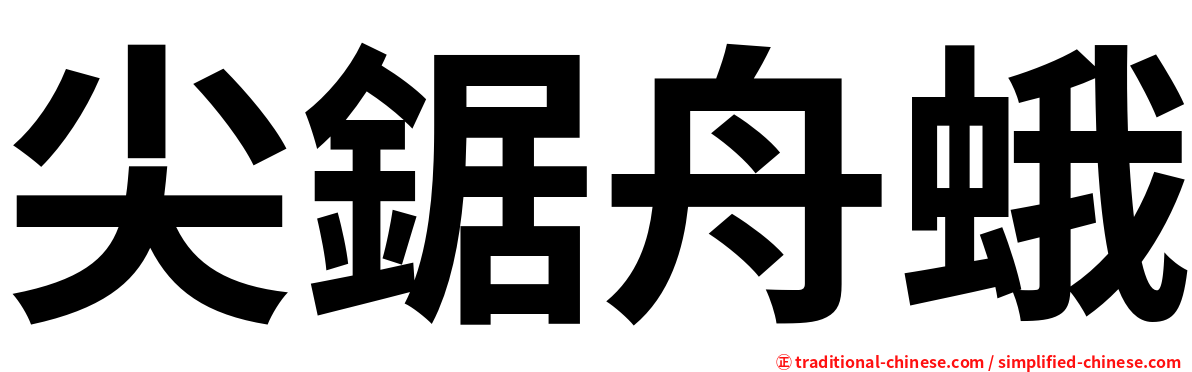 尖鋸舟蛾