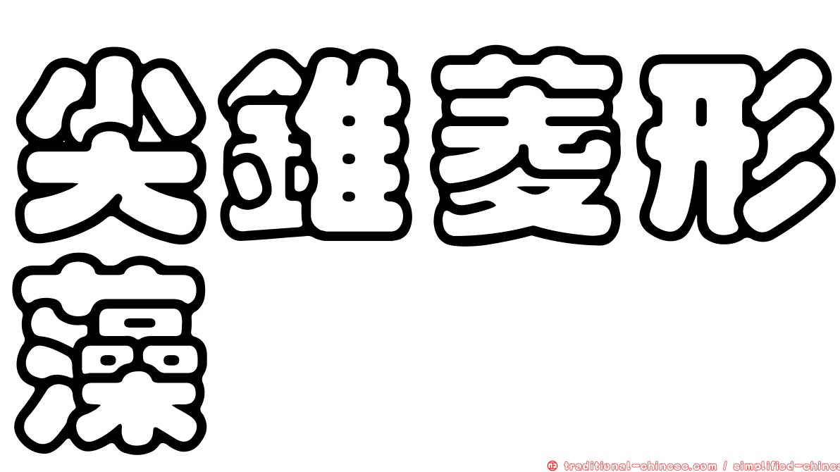 尖錐菱形藻