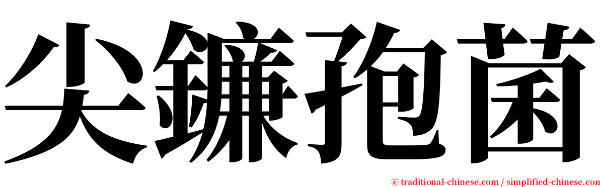 尖鐮孢菌 serif font