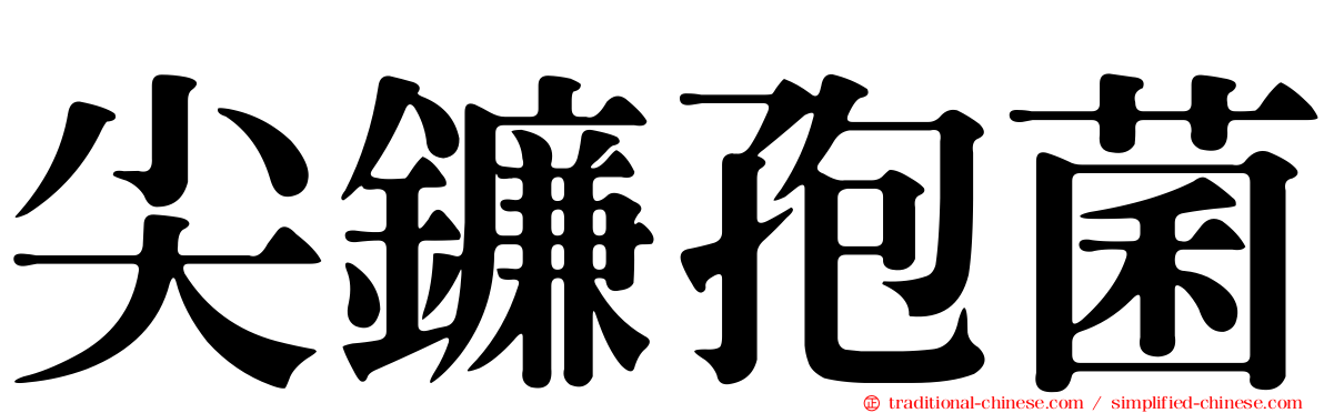尖鐮孢菌