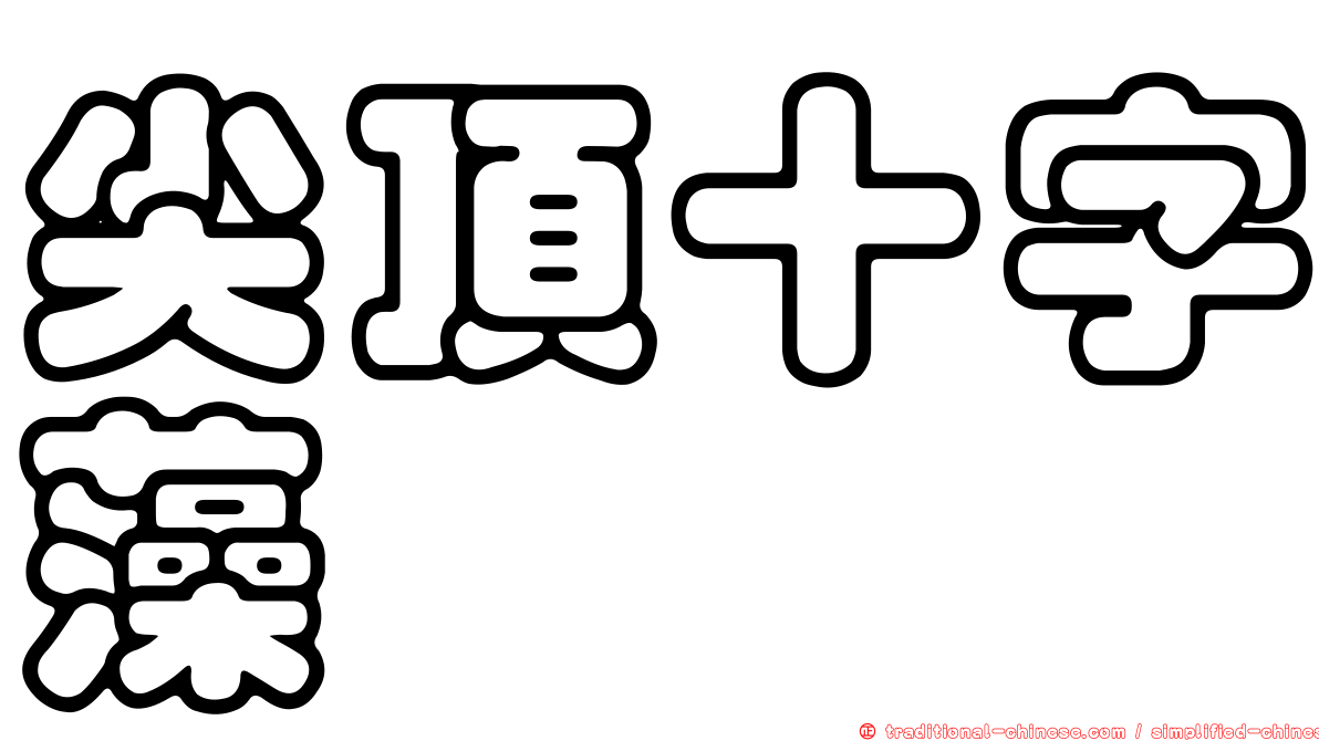 尖頂十字藻