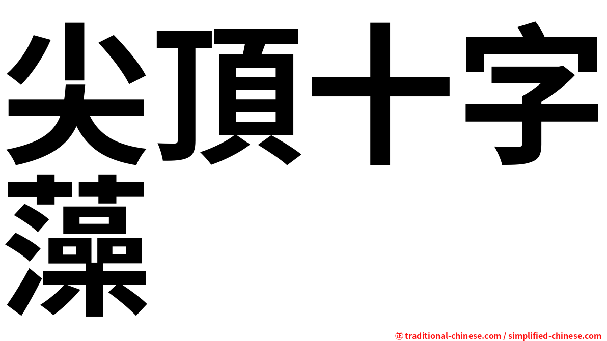 尖頂十字藻