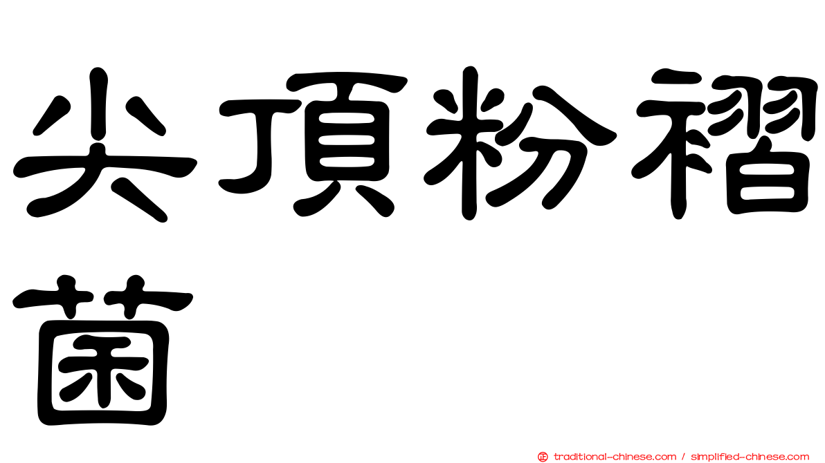 尖頂粉褶菌