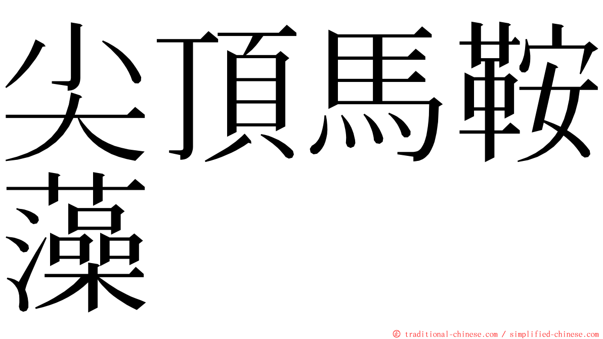 尖頂馬鞍藻 ming font