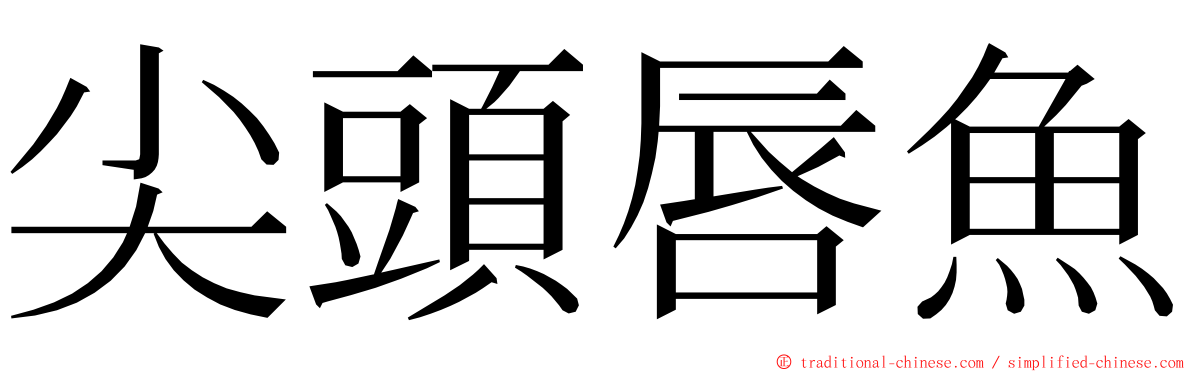 尖頭唇魚 ming font