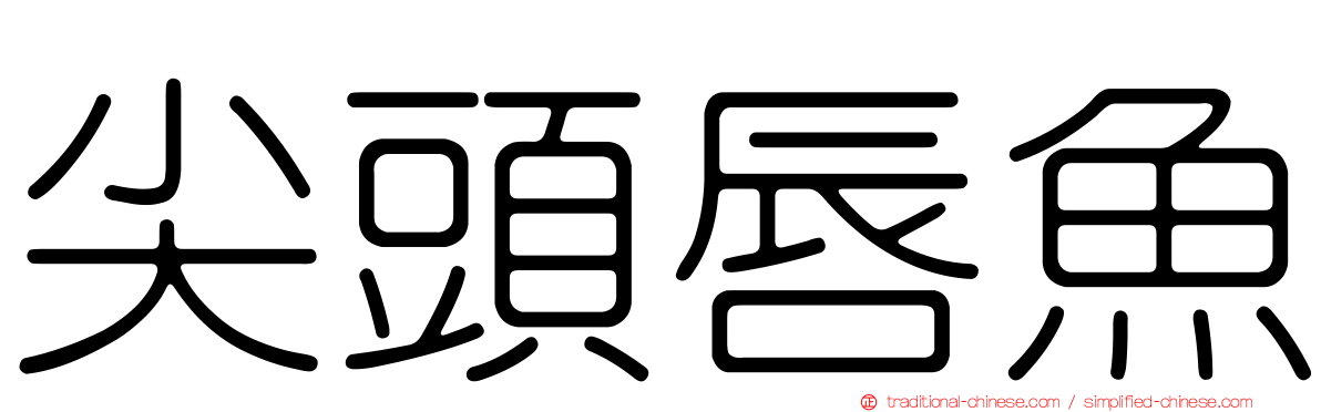 尖頭唇魚
